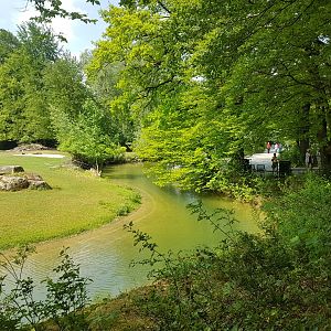 Addra Gazelle Exhibit