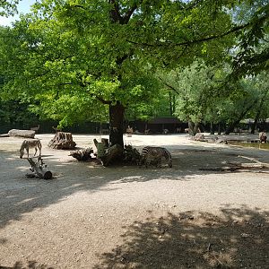 Savanna Exhibit with Zebras, Elands and Ostriches