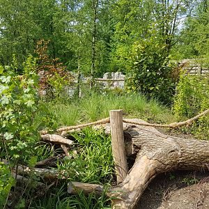 Vegetation and Barriers