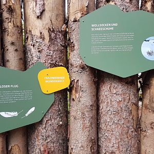 Snowy Owl Signage, Walkthrough Aviary in Polar World