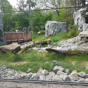 Arctic Fox Exhibit in Polar World