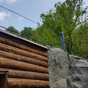 Snowy Owl Walkthrough Aviary, Details