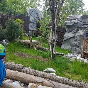 Snowy Owl Aviary with natural Barrier for Visitors