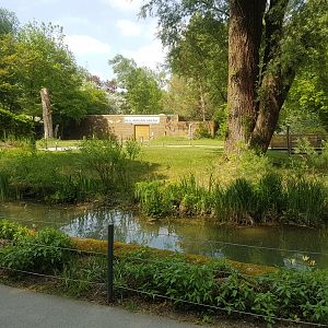 Natural Look, Pathway