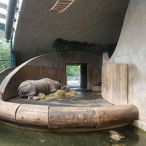 Indian Rhino Indoor Exhibit, Rhino House