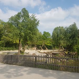 Giraffe Outdoor Exhibit, the view from Pathway