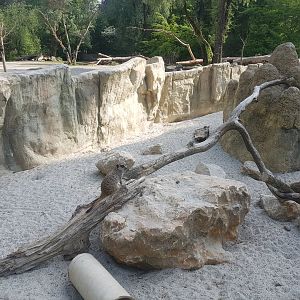 Meerkat Exhibit, Giraffe Savannah