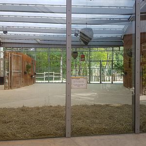 Giraffe Indoor Exhibit