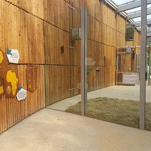 Giraffe Indoor Exhibit with Signage
