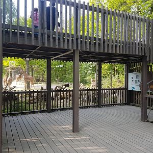 Viewing Area with Signage Giraffe Savannah