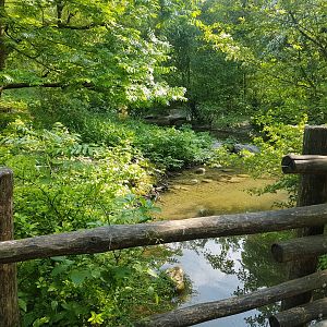 Barrier, Aviary View