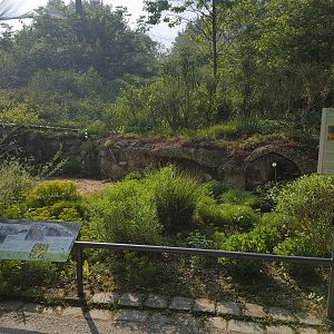 Wild Area for Native Animals