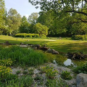 South America Exhibit