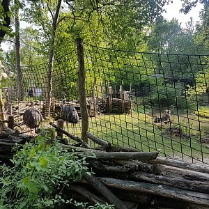 Emu Exhibit