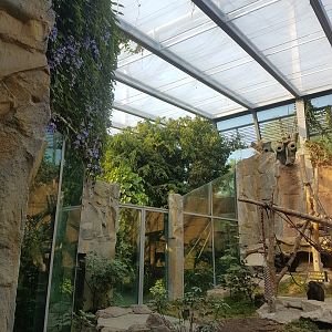 Vegetation, Chimpanzee Indoor Exhibit, Jungle Pavilion