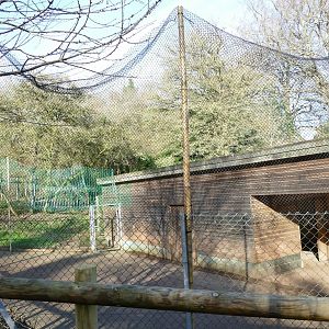 West Caucasian Tur enclosure, February 2019