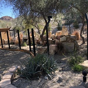 New exhibit construction