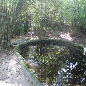 False gharial exhibit