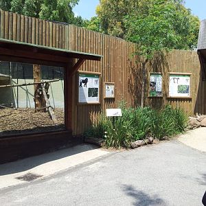 Mandril Exhibit & Signage