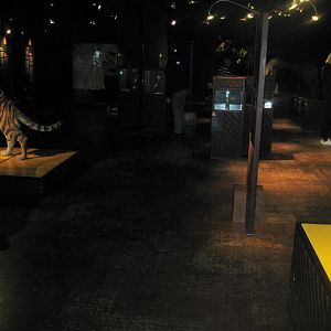 Naturhistorisk Museum Aarhus - AnimaliA