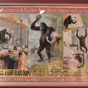 1893 Barnum & Bailey Circus 'Great Black Orang" (?) Poster - Circus World Museum