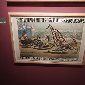 1881 Shelby, Pullman, and Hamilton's Great United Mastodon Shows 'Novel Chariot Race' Poster - Circus World Museum