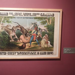 1879 Great London Circus Bengal Tiger Poster - Circus World Museum