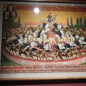 1910 Adan Forepaugh & Sells Bros. Circus Liberty Horse Act Poster - Circus World Museum