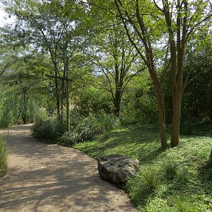 Southern White Rhinoceros Exhibit - Visitor Path