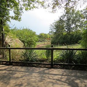 Southern White Rhinoceros Exhibit - Viewing Area
