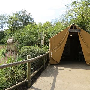 Southern White Rhinoceros Exhibit - Pathside Tent