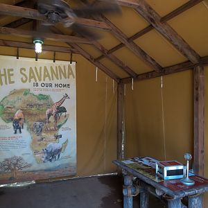 Southern White Rhinoceros Exhibit - Pathside Tent