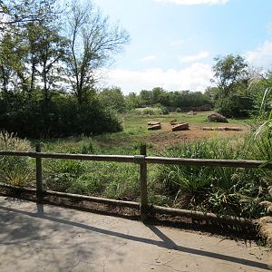 Southern White Rhinoceros Exhibit - Viewing Area