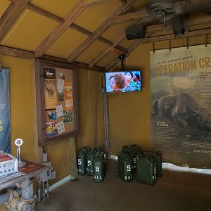 Southern White Rhinoceros Exhibit - Pathside Tent