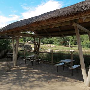 Southern White Rhinoceros Exhibit - Viewing Shelter
