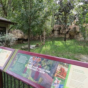 Expedition Peru - Red-footed Tortoise and Southern Pudu Exhibit