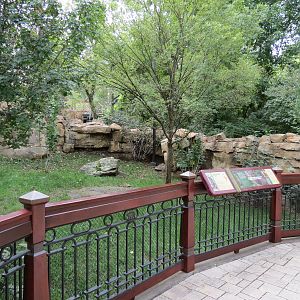 Expedition Peru - Red-footed Tortoise and Southern Pudu Exhibit