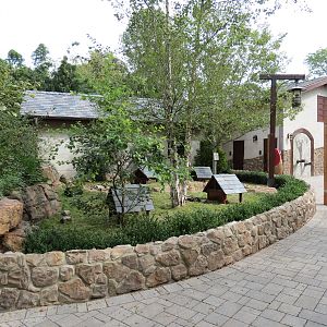 Expedition Peru - Guinea Pig Exhibit