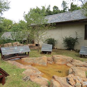 Expedition Peru - Guinea Pig Exhibit