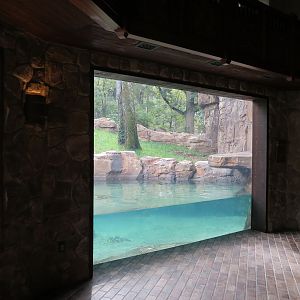 Expedition Peru - Lodge Interior - Andean Bear Exhibit Viewing Window