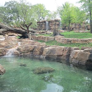 Expedition Peru - Andean Bear Exhibit