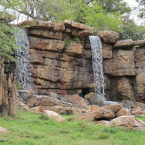 Expedition Peru - Andean Bear Exhibit