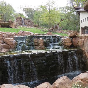 Expedition Peru - Andean Bear Exhibit