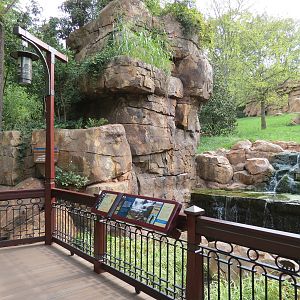 Expedition Peru - Andean Bear Exhibit Outdoor Viewing Area