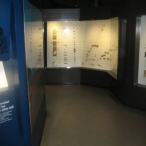 Naturhistorisk Museum Aarhus - Denmark hall