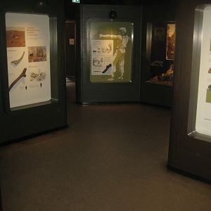 Naturhistorisk Museum Aarhus - Denmark hall