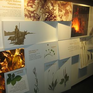 Naturhistorisk Museum Aarhus - Denmark hall