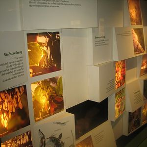 Naturhistorisk Museum Aarhus - Denmark hall