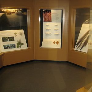 Naturhistorisk Museum Aarhus - Denmark hall