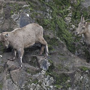 An uncomfortable situation